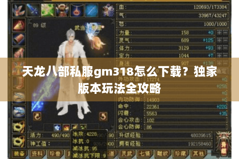 天龙八部私服gm318怎么下载？独家版本玩法全攻略