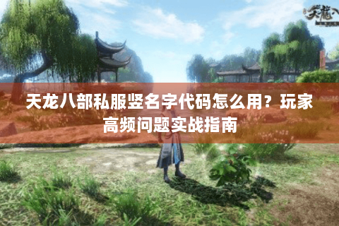 天龙八部私服竖名字代码怎么用？玩家高频问题实战指南