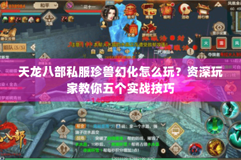 天龙八部私服珍兽幻化怎么玩？资深玩家教你五个实战技巧