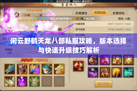 闲云野鹤天龙八部私服攻略，版本选择与快速升级技巧解析