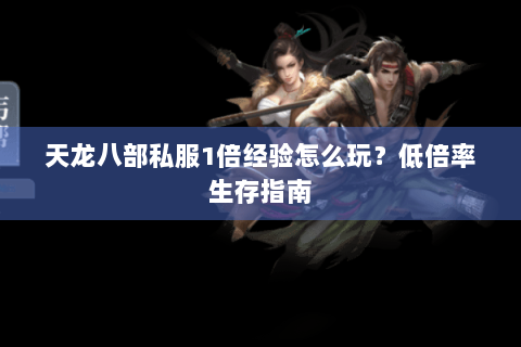 天龙八部私服1倍经验怎么玩？低倍率生存指南