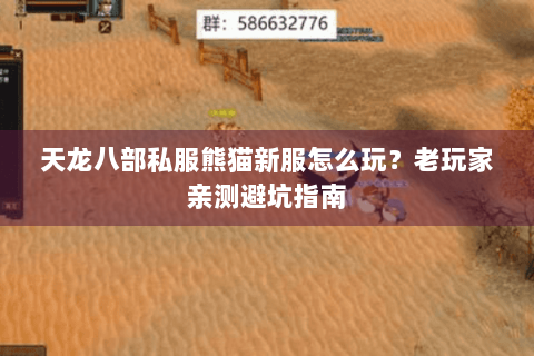 天龙八部私服熊猫新服怎么玩？老玩家亲测避坑指南