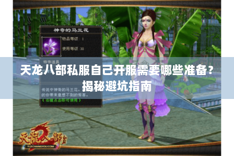 天龙八部私服自己开服需要哪些准备？揭秘避坑指南