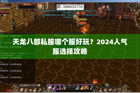 天龙八部私服哪个服好玩？2024人气服选择攻略