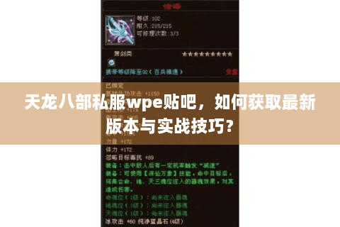 天龙八部私服wpe贴吧，如何获取最新版本与实战技巧？