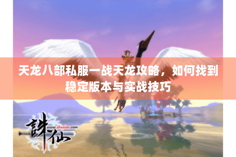 天龙八部私服一战天龙攻略，如何找到稳定版本与实战技巧