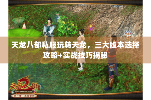 天龙八部私服玩转天龙，三大版本选择攻略+实战技巧揭秘