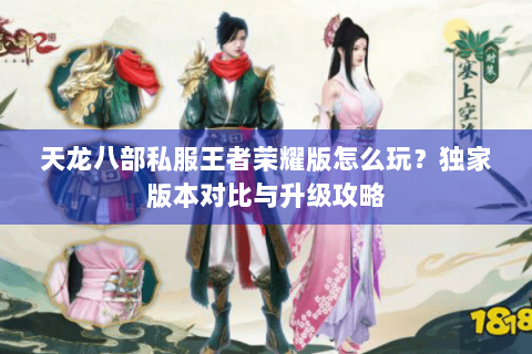 天龙八部私服王者荣耀版怎么玩？独家版本对比与升级攻略