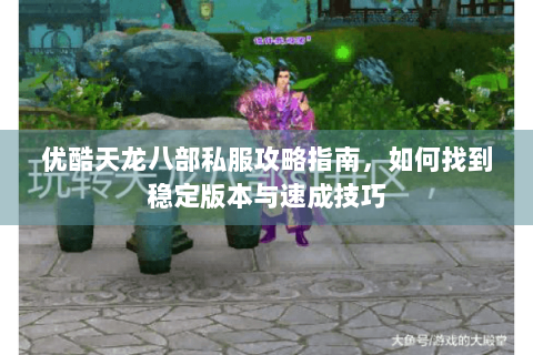 优酷天龙八部私服攻略指南，如何找到稳定版本与速成技巧