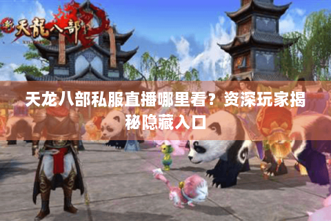 天龙八部私服直播哪里看?资深玩家揭秘隐藏入口 天龙八部私服直播哪里看?资深玩家揭秘隐藏入口