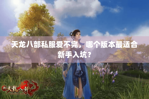 天龙八部私服爱不完，哪个版本最适合新手入坑？