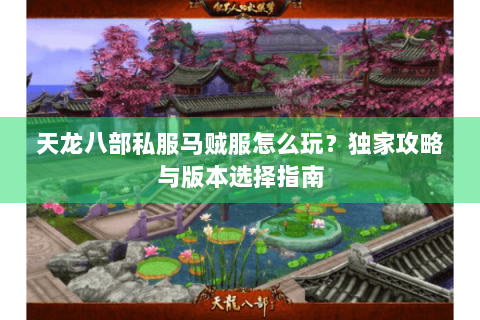 天龙八部私服马贼服怎么玩？独家攻略与版本选择指南