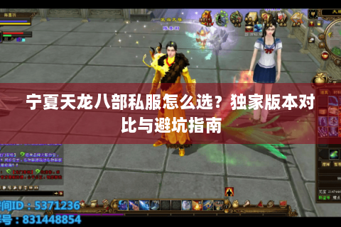 宁夏天龙八部私服怎么选？独家版本对比与避坑指南
