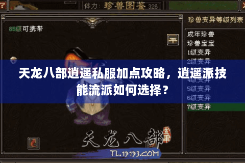 天龙八部逍遥私服加点攻略，逍遥派技能流派如何选择？