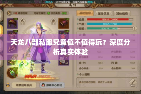 天龙八部私服究竟值不值得玩？深度分析真实体验