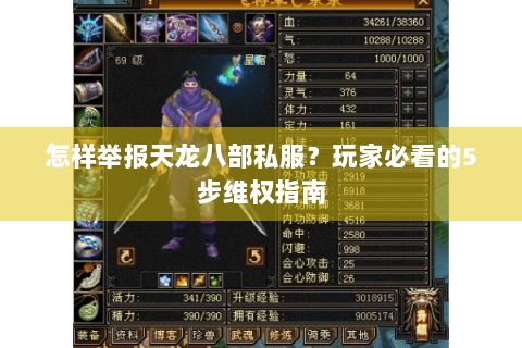 怎样举报天龙八部私服？玩家必看的5步维权指南