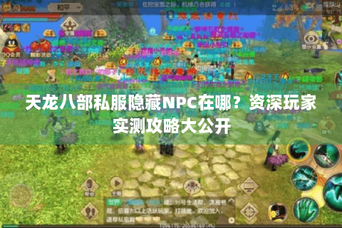 天龙八部私服隐藏NPC在哪？资深玩家实测攻略大公开
