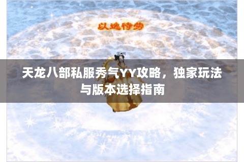 天龙八部私服秀气YY攻略，独家玩法与版本选择指南