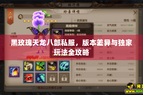黑玫瑰天龙八部私服，版本差异与独家玩法全攻略