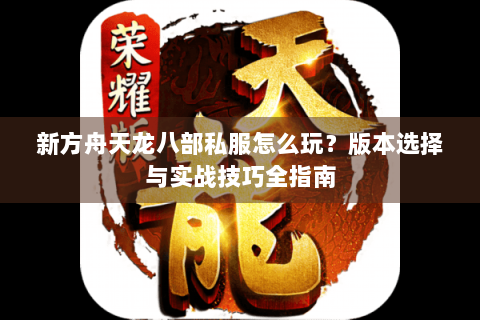 新方舟天龙八部私服怎么玩？版本选择与实战技巧全指南