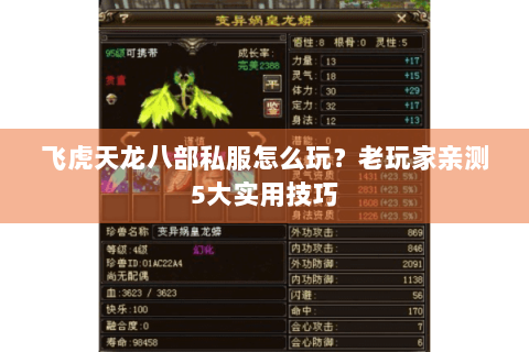 飞虎天龙八部私服怎么玩？老玩家亲测5大实用技巧