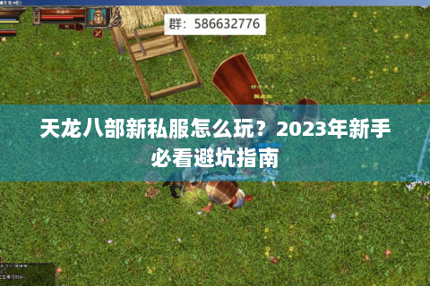 天龙八部新私服怎么玩？2023年新手必看避坑指南