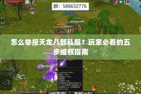 怎么举报天龙八部私服？玩家必看的五步维权指南