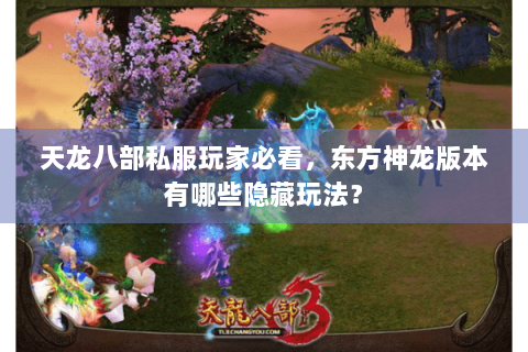 天龙八部私服玩家必看，东方神龙版本有哪些隐藏玩法？
