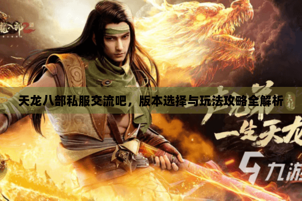 天龙八部私服交流吧，版本选择与玩法攻略全解析