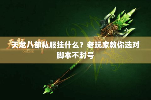 天龙八部私服挂什么？老玩家教你选对脚本不封号