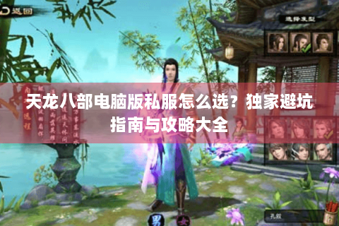 天龙八部电脑版私服怎么选？独家避坑指南与攻略大全