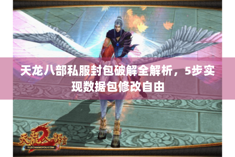 天龙八部私服封包破解全解析，5步实现数据包修改自由