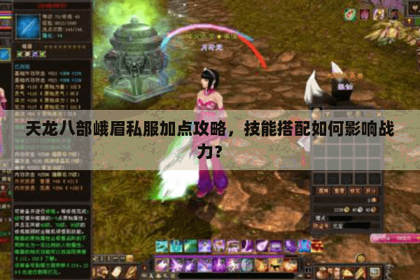 天龙八部峨眉私服加点攻略，技能搭配如何影响战力？