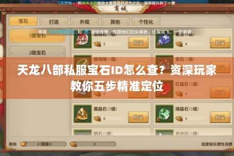 天龙八部私服宝石ID怎么查？资深玩家教你五步精准定位