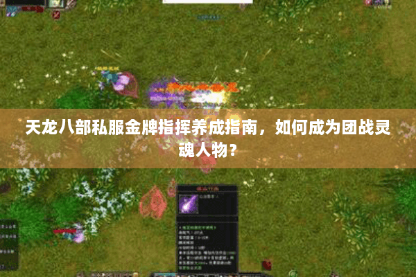 天龙八部私服金牌指挥养成指南，如何成为团战灵魂人物？
