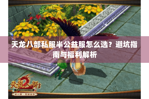 天龙八部私服半公益服怎么选？避坑指南与福利解析