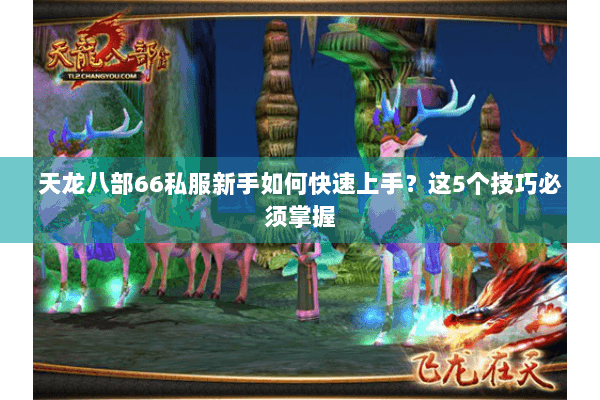 天龙八部66私服新手如何快速上手？这5个技巧必须掌握