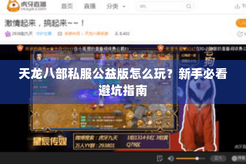 天龙八部私服公益版怎么玩？新手必看避坑指南