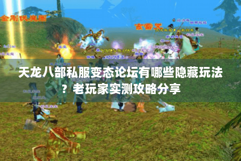 天龙八部私服变态论坛有哪些隐藏玩法？老玩家实测攻略分享