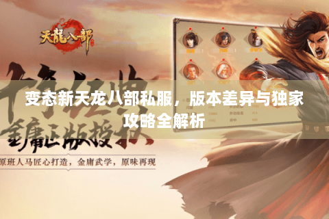 变态新天龙八部私服，版本差异与独家攻略全解析