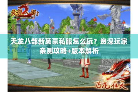 天龙八部新英豪私服怎么玩？资深玩家亲测攻略+版本解析