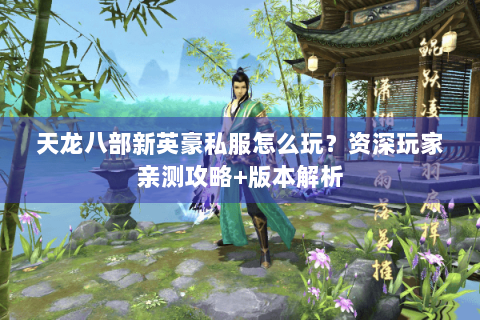 天龙八部新英豪私服怎么玩？资深玩家亲测攻略+版本解析