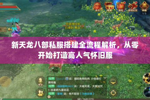 新天龙八部私服搭建全流程解析，从零开始打造高人气怀旧服