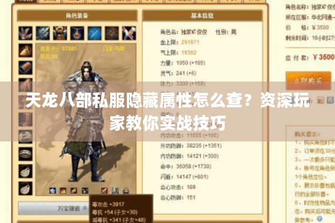 天龙八部私服隐藏属性怎么查？资深玩家教你实战技巧