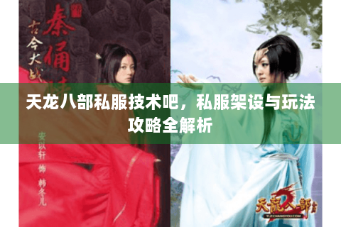 天龙八部私服技术吧，私服架设与玩法攻略全解析