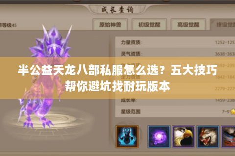半公益天龙八部私服怎么选？五大技巧帮你避坑找耐玩版本