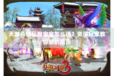 天龙八部私服宝宝怎么选？资深玩家教你避坑指南