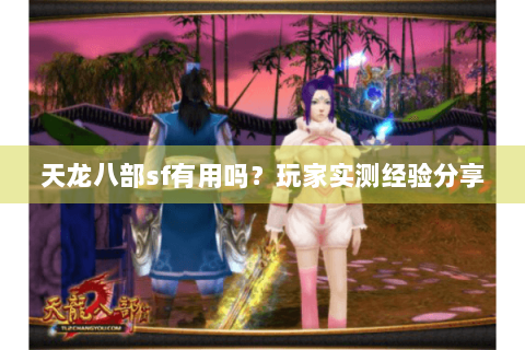 天龙八部sf有用吗？玩家实测经验分享