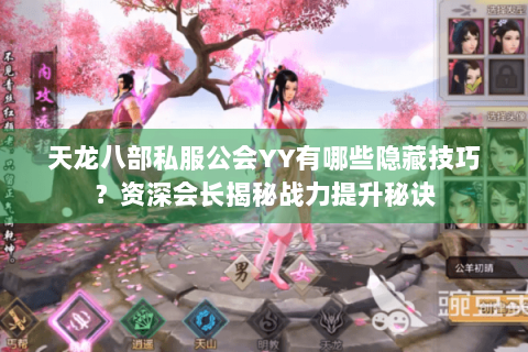 天龙八部私服公会YY有哪些隐藏技巧？资深会长揭秘战力提升秘诀