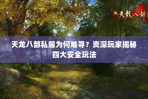 天龙八部私服为何难寻？资深玩家揭秘四大安全玩法